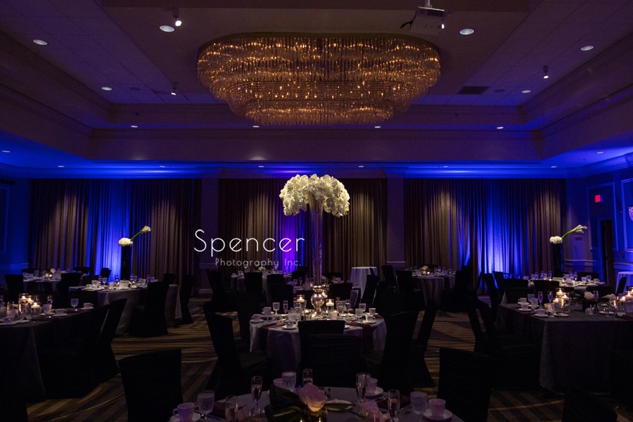 You are currently viewing Wedding Details: A Reception at Akron Hilton