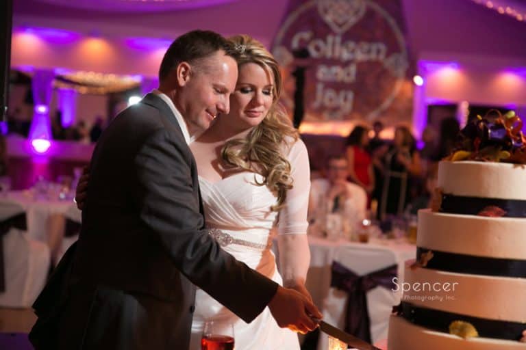 Read more about the article Wedding Reception at Springvale Ballroom