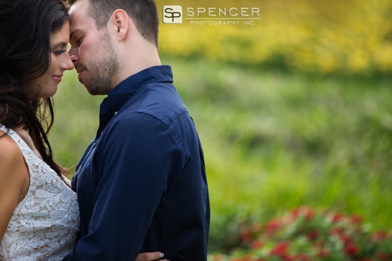 engagement picture at phipps conservatory
