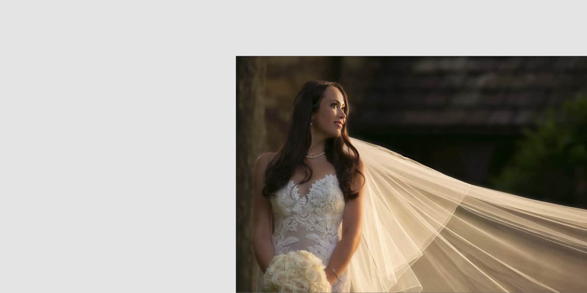 Elegant picture of the bride and her veil
