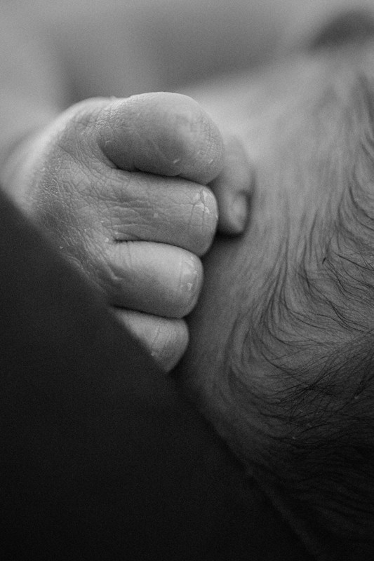 black and white picture of newborn baby's hand