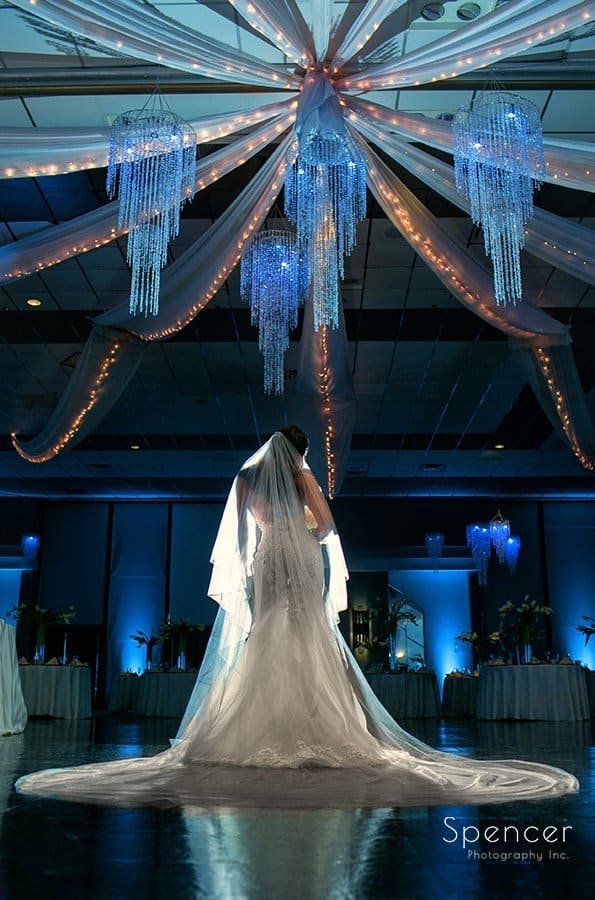 gorgeous wedding picture of bride in Landerhaven ballroom