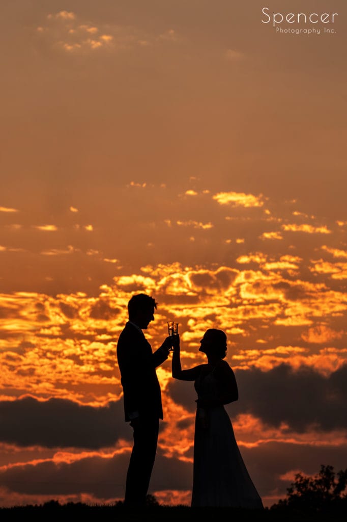 bride and groom toasting in the sunset