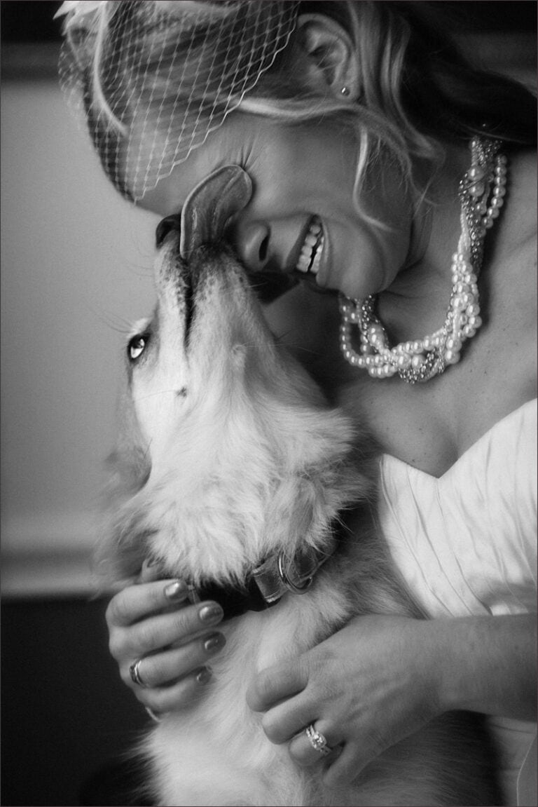 Bride's dog licking her face