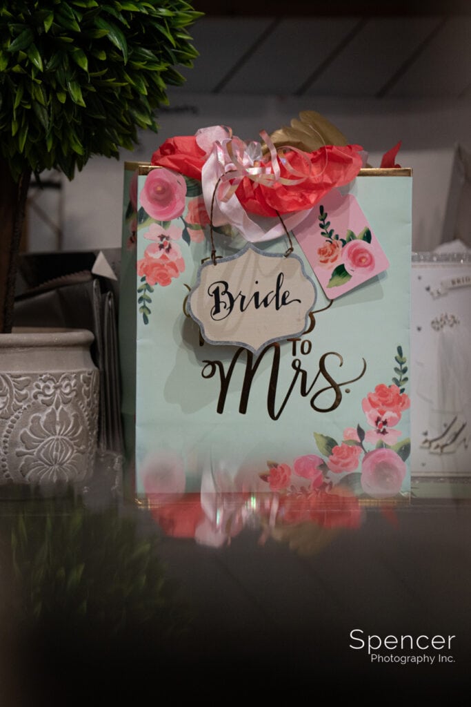 bride gift bag
